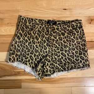 Judy Blue Leopard Cheetah Shorts